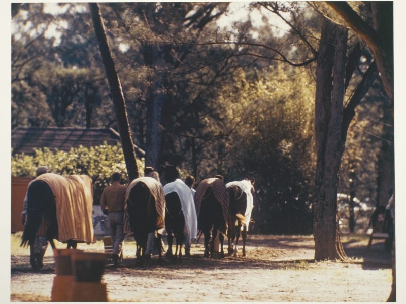 Robert Riger, Racehorse: The Barn - Hot Walkers Cooling Out a String of Horses After Morning Work, c. 1957