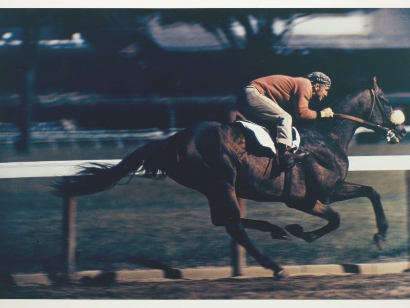 Robert Riger, Racehorse: Morning Work - Breezing Out a Three-Year Old, c. 1957