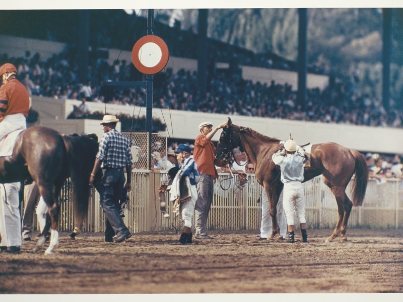 Robert Riger, Racehorse: Unsaddling, c. 1957