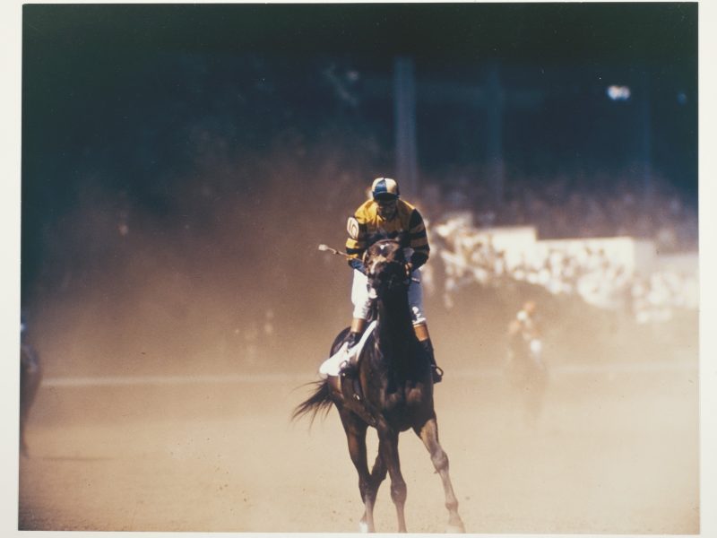 Robert Riger, Racehorse: Coming Back - Pulling Up Past the Finish, c. 1957