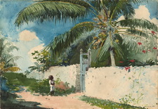 A Garden in Nassau