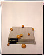 Picasso Book with Kumquats