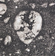Underfoot IX, New York