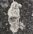 Underfoot XIX, New York