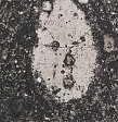 Underfoot XXII, New York