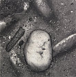 Underfoot XXX, New York