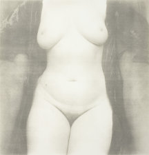 Nude No. 111, New York