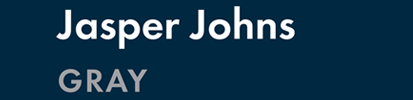 Jasper Johns GRAY